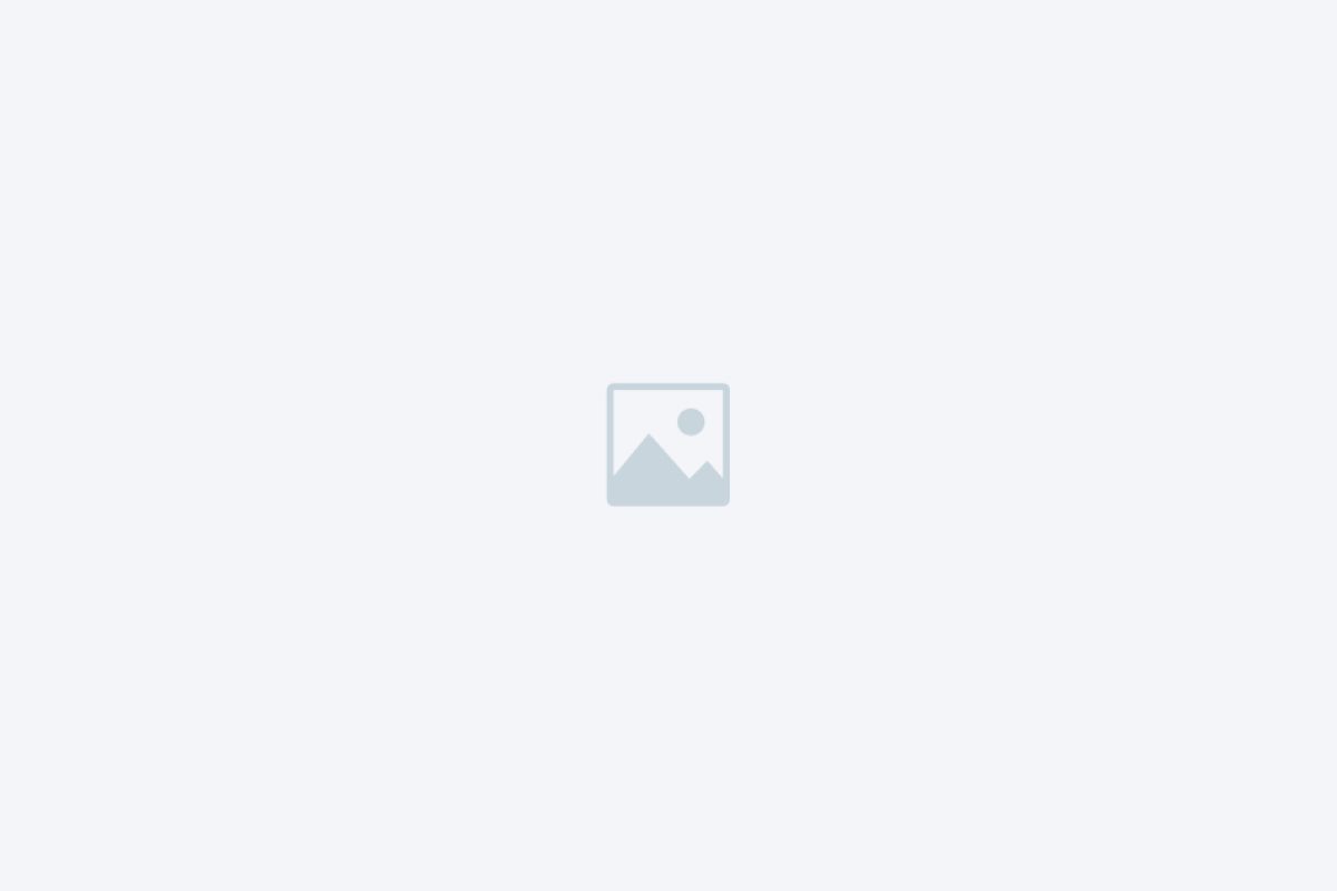 Wierframe-gallery_box-7.jpg